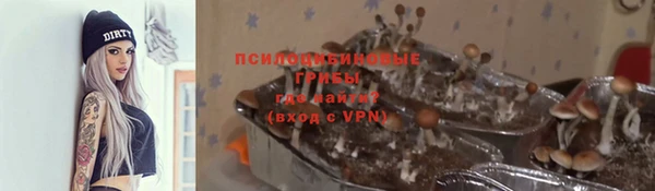 прущий лед Ладушкин