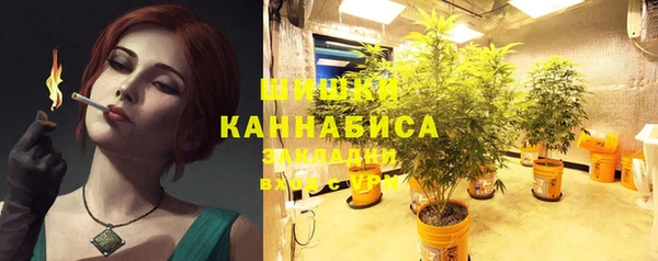 ГАЛЛЮЦИНОГЕННЫЕ ГРИБЫ Липки