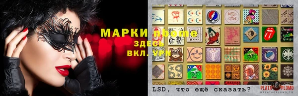 прущие грибы Лиски