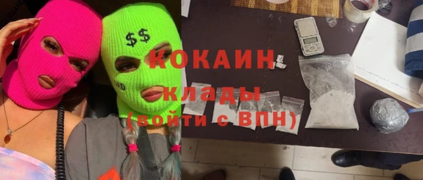 прущие грибы Лиски