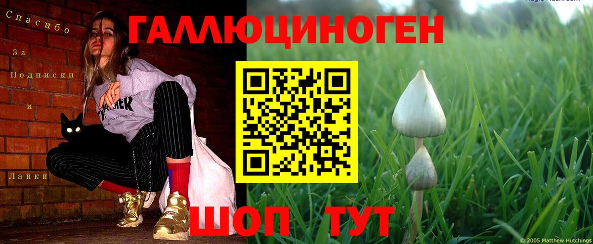 Галлюциногенные грибы прущие грибы Малгобек