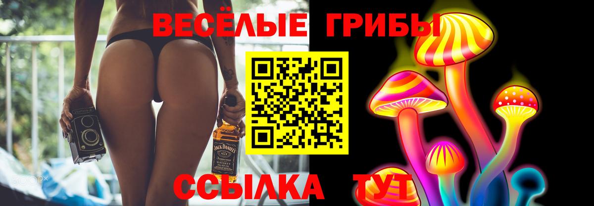 Псилоцибиновые грибы Psilocybe Малгобек