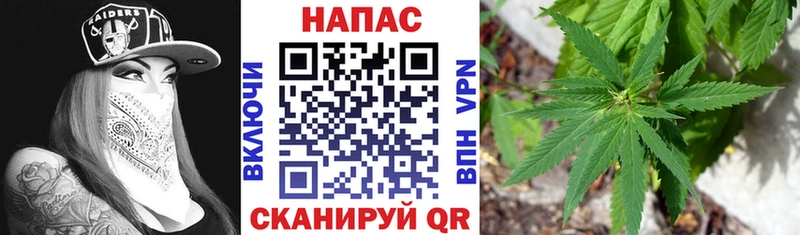 Шишки марихуана тримм  как найти закладки  Малгобек 